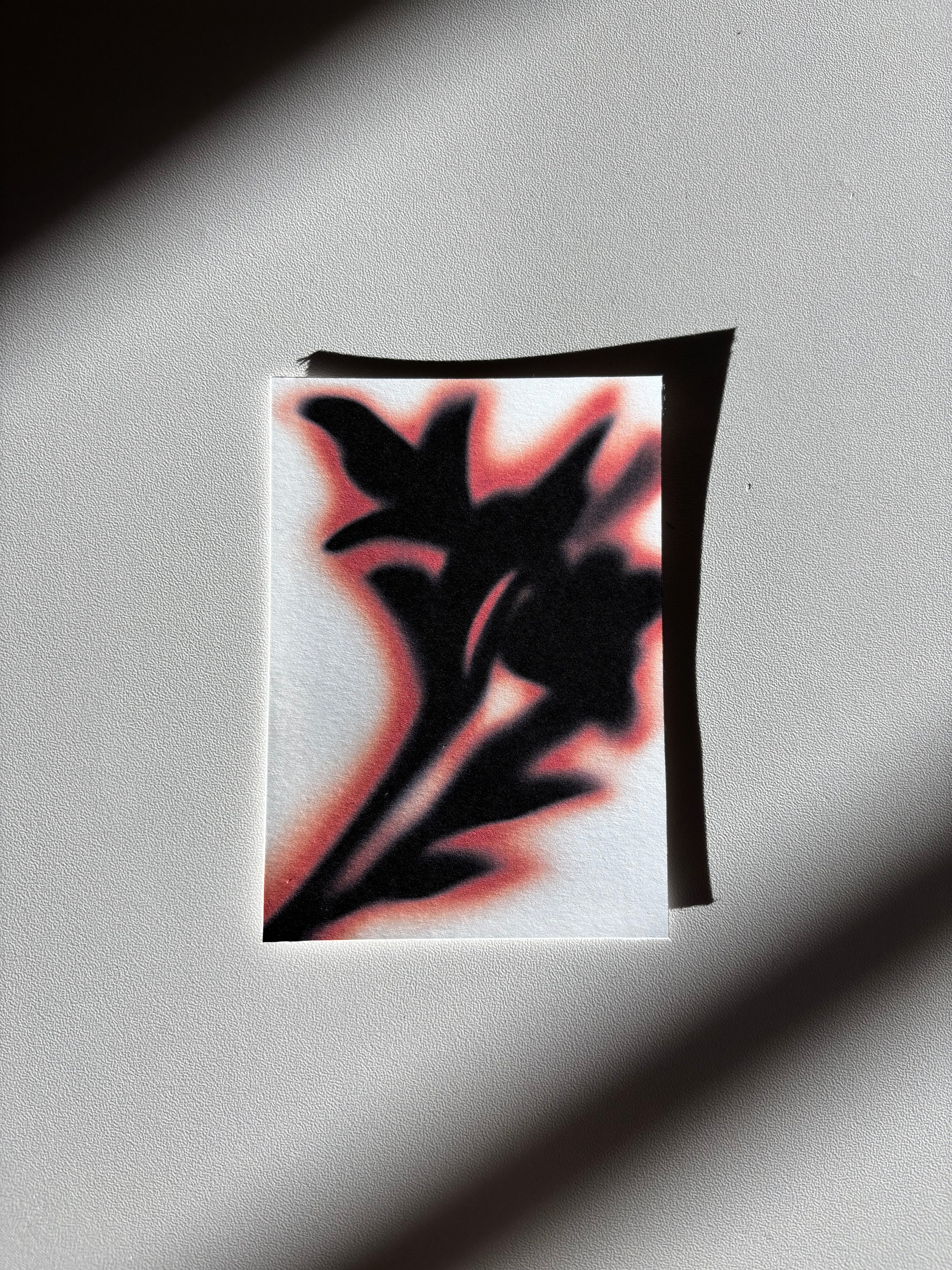 HB Print Club Subscription